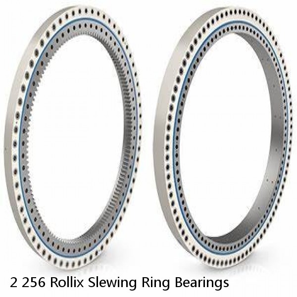 2 256 Rollix Slewing Ring Bearings