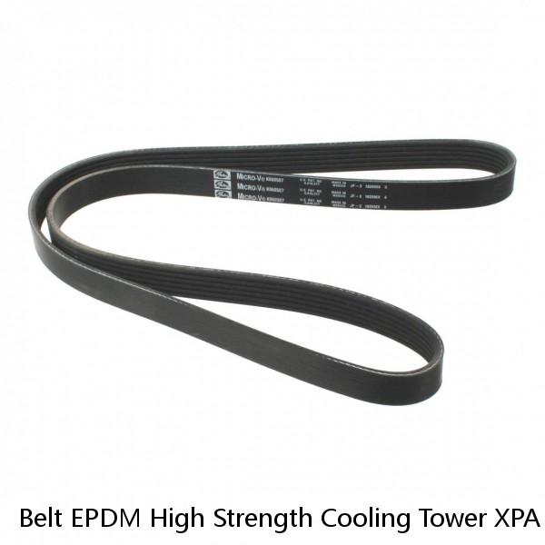 Belt EPDM High Strength Cooling Tower XPA XPB XPC 3VX 5VX 8VX Rubber V Belt