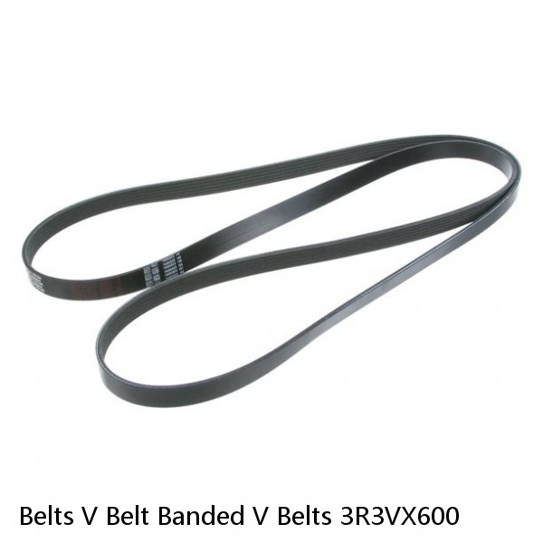Belts V Belt Banded V Belts 3R3VX600