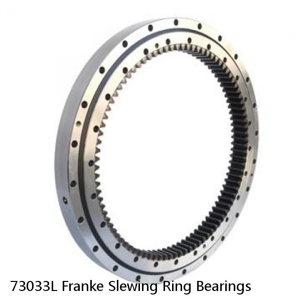 73033L Franke Slewing Ring Bearings