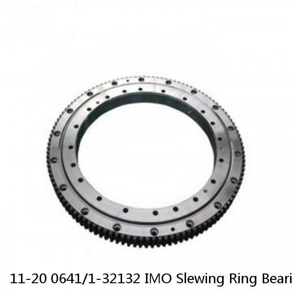 11-20 0641/1-32132 IMO Slewing Ring Bearings