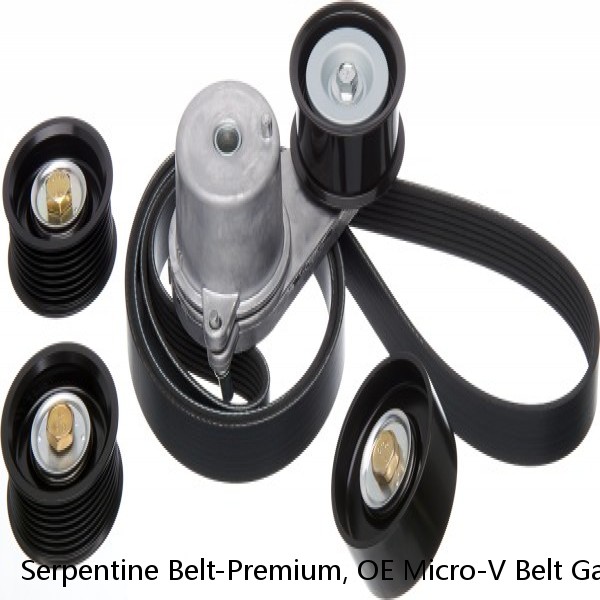 Serpentine Belt-Premium, OE Micro-V Belt Gates K060923.