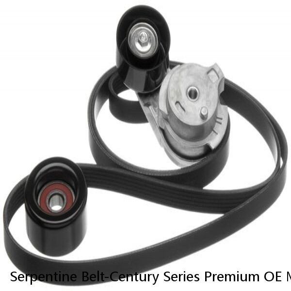 Serpentine Belt-Century Series Premium OE Micro-V Belt GATES K060923