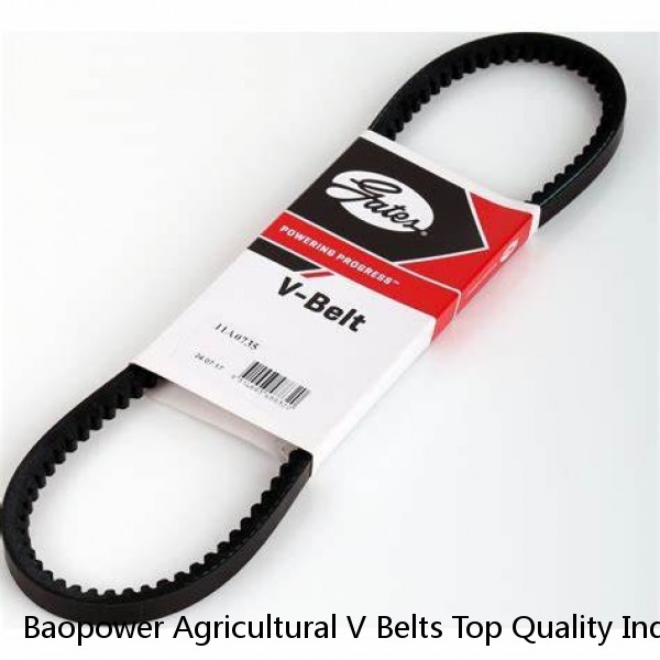 Baopower Agricultural V Belts Top Quality Industrial Wear-resistant Flat Drive Rubber Size Chart V Belt