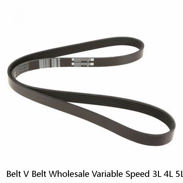 Belt V Belt Wholesale Variable Speed 3L 4L 5L Type Wrapped Bando V Belt For Compressor