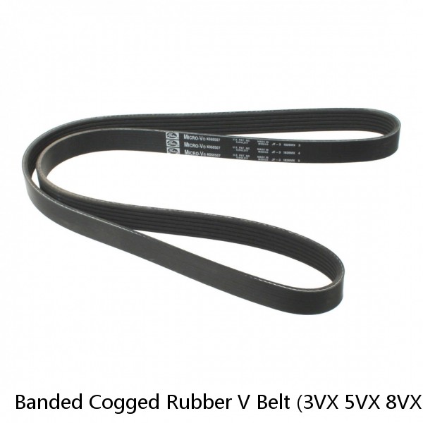 Banded Cogged Rubber V Belt (3VX 5VX 8VX 9J)